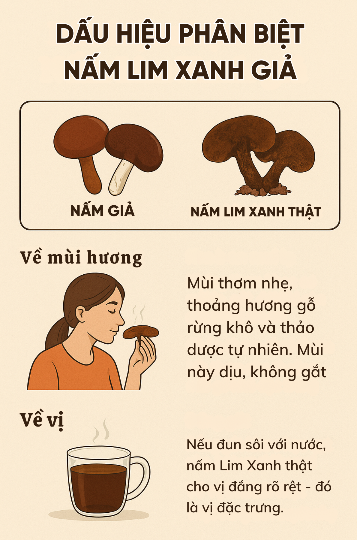 nấm lim xanh giả nấm lim xanh rừng tự nhiên